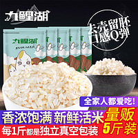 九鲤湖 胚芽米 真空包装新鲜活米 留芽米谷物营养大米粥糙米杂粮500g