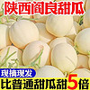 黃花地 陜西閻良甜瓜 凈重8.5 -9斤（4-9個）