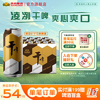 燕京啤酒 9度燕京干啤听装500ml*12听整箱官方正品 包邮 官方直营