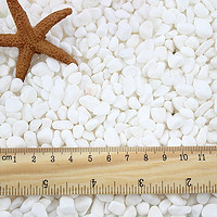 派樂特 魚缸底砂造景裝飾石沙子鵝卵石龜缸多肉裝飾用品白玉白石頭1000g