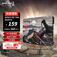 Great Wall 长城 256GB SSD固态硬盘 SATA3.0接口 读速560MB/S台式机/笔记本通用 GT580系列