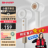 SHARP 夏普 小浪花 IB-RP45C-C 高速吹風機 白金色