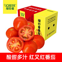 GREER 绿行者 红又红番茄 现摘西红柿  2.5kg装