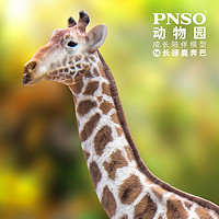 PNSO 长颈鹿奔巴动物园成长陪伴模型16