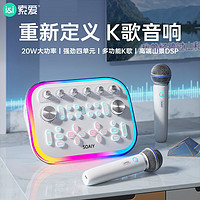 百亿补贴：SOAIY 索爱 SG20声卡唱歌专用抖音快手直播手机唱歌话筒音箱一体机麦克风