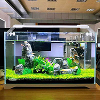 SUNSUN 森森 鱼缸水族箱超白玻璃水草缸造景桌面金鱼缸 超白420裸缸(42.6*23.6*28cm)