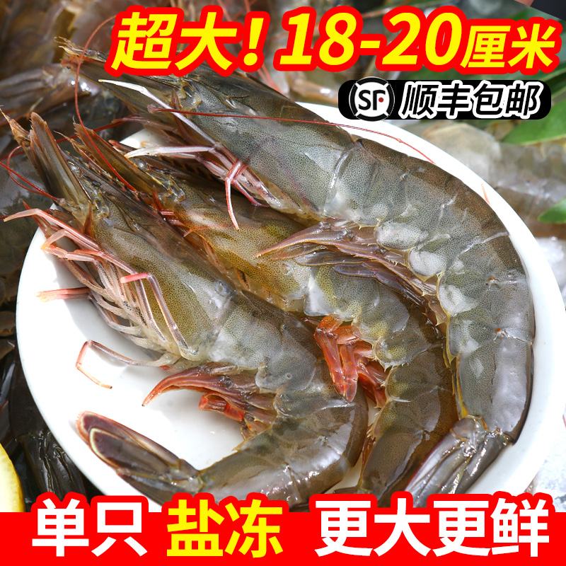 【家有老王粉丝专享】尔瓜多尔活冻大虾 20/30规格去冰净重1.65kg