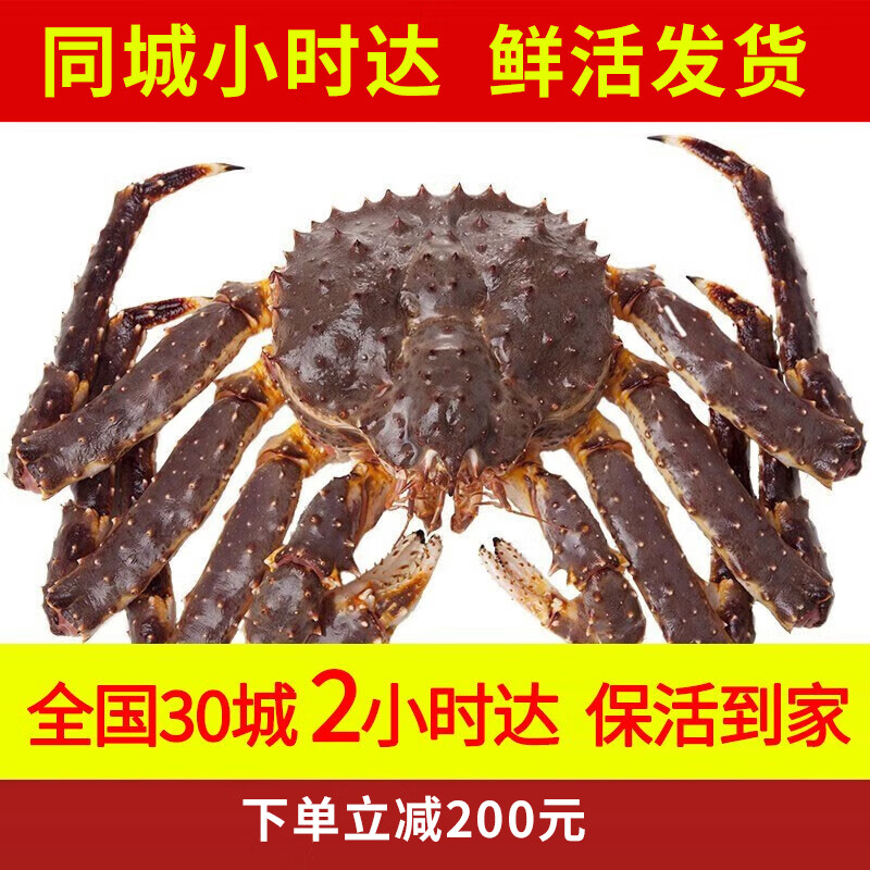 【活鲜】喵和渔 鲜活帝王蟹帝皇蟹俄罗斯大螃蟹海鲜阿拉斯加 3.1-3.5斤/一只 （鲜活）