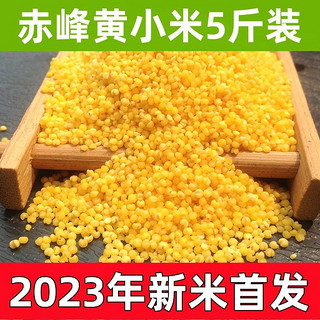 2023年新米内蒙赤峰黄小米2斤5斤农家金苗米熬粥杂粮食品真空装