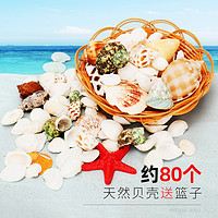 派樂特 貝殼魚缸造景裝飾擺件套餐水族箱底沙砂石海螺 含籃子