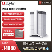 IQAir 瑞士IQAir空气净化器家用除甲醛 除细菌除猫狗过敏原净化机 HP250