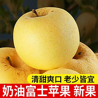 樱鲜山东黄金苹果当季新鲜水果带花皮奶油富士苹果脆甜 山东黄金富士 净重4.5-5斤   12枚