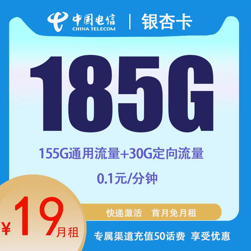 中国电信 CHINA TELECOM银杏卡19元185G流量+0.1元/分钟