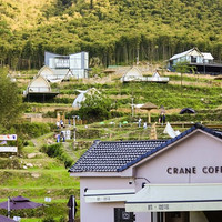 去露營了！周末暑假不加價，住帳篷玩篝火！安吉路隱那森·山海營 帆船帳篷（景觀房）2晚連住套餐（含雙早+下午茶+露天電影等）