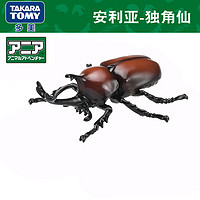 TAKARA TOMY多美卡安利亚仿真野生动物模型虫小摆件儿童认知玩具甲虫瓢虫