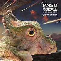PNSO 幼年中國角龍阿齊恐龍大王成長陪伴模型27