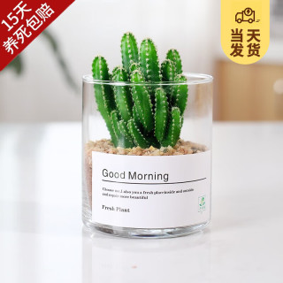 多肉植物能用沙子栽吗 663b9466e50156214.jpg_d320.jpg