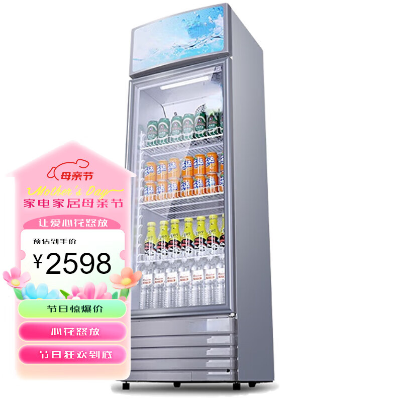 TYXKJSC-228NE单门立式展示柜饮料商用冰箱冷柜冷藏保鲜柜   228升循环风机除霜款
