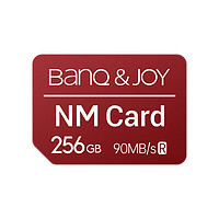 BanQ &JOY; 256GB NM card