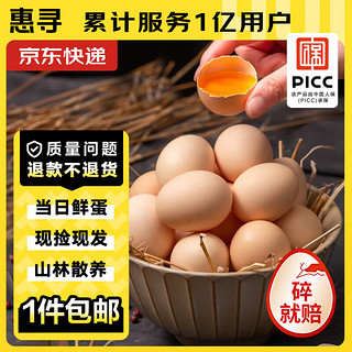 惠寻 京东自有品牌 新鲜谷物蛋初生土鸡蛋8枚300g