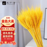 开业用的麦穗是真麦穗 663e24a445a763498.jpg_d200.jpg