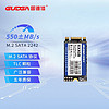 GUDGA 固德佳 GN M.2 SATA协议 2242固态硬盘SSD 128G 256G 512G 1TB 2TB