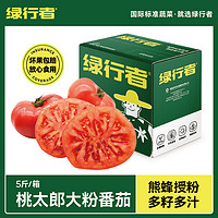 GREER 綠行者 桃太郎大粉番茄自然熟西紅柿新鮮生吃老品種水果番茄