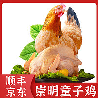 老杜上海崇明岛童子鸡850g*2只 整只鸡清蒸新鲜鸡肉白切鸡 850g 崇明童子鸡*2只