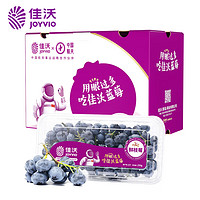 JOYVIO 佳沃 藍莓鮮枝莓14mm+ 3盒禮盒裝 約250g/盒 新鮮水果禮盒