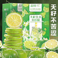 LL 戀綠 凍干香水檸檬片 40片