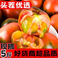 淘品樂 丹東應季鐵皮草莓柿子堿地綠腚即食番茄