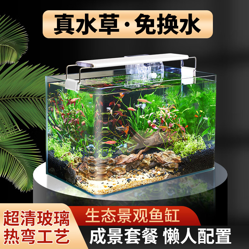 可以用什么给鱼缸造景 6641db39a61946432.jpg