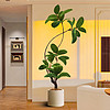 森泰 大型客廳落地擺件室內沙發電視柜旁邊假植物黑金剛橡皮樹仿真綠植