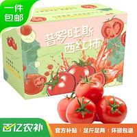 京百味 新鮮普羅旺斯西紅柿 2.25kg禮盒裝