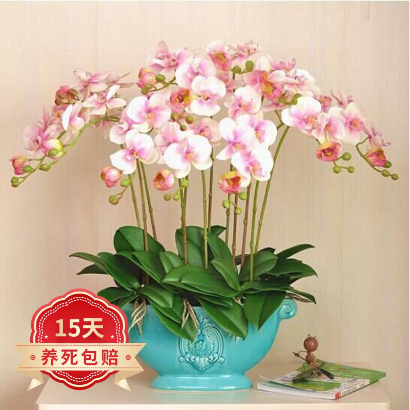 可以用什么东西做花朵 66441e31d4c9b5412.jpg