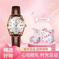 OLEVS 欧利时 简约休闲防水夜光正品女表带日历经典百搭手表女礼盒送女友