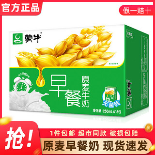 MENGNIU 蒙牛 5月新蒙牛早餐奶核桃原麦味250ml16盒整箱营养牛奶乳饮品学生特价