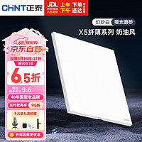 正泰（CHNT）开关插座X5系列超薄空白面板大面板插座幻纱白暗装X5-95100