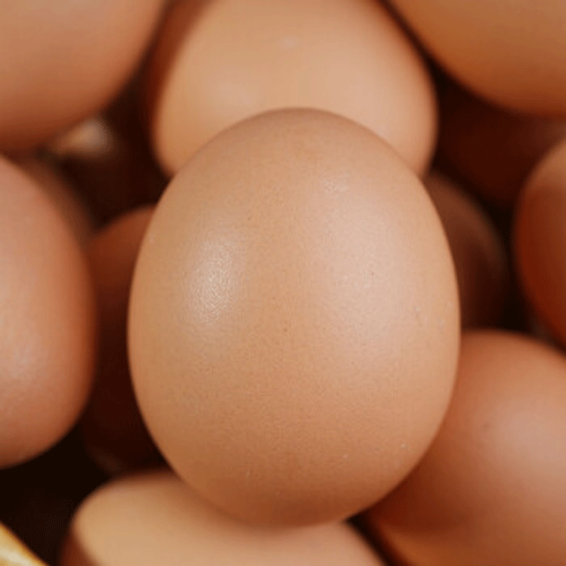 岸上人家新鲜鸡蛋农家散养鸡蛋鸡场直发单枚40g左右 20枚装单枚40-50g