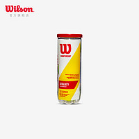 Wilson 威爾勝 冠軍運動訓練比賽網球3只罐裝WRT100101
