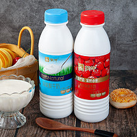 蒙牛红枣酸奶450g 生牛乳风味酸奶发酵乳 原味红枣桶酸瓶装酸奶