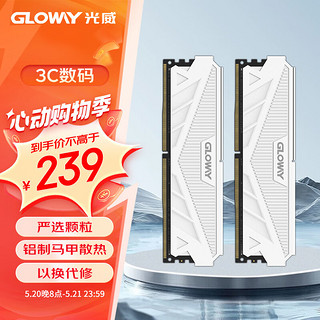 GLOWAY 光威 天策系列 DDR4 3600MHz 台式机内存 马甲条 皓月白 16GB 8GB*2