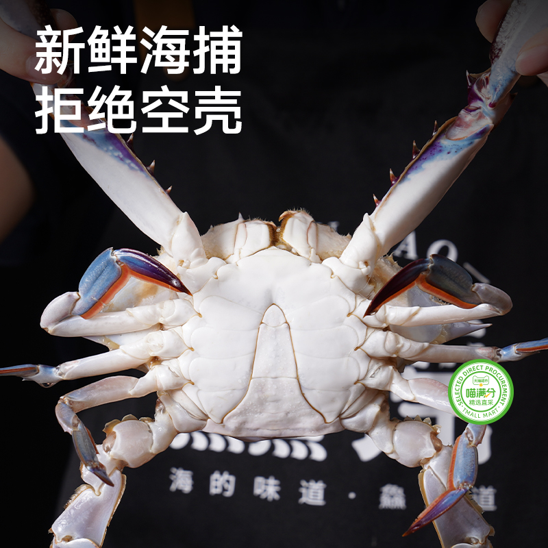 喵满分特大螃蟹梭子蟹1.3kg海蟹飞蟹白蟹整蟹海鲜水产新鲜活冷冻