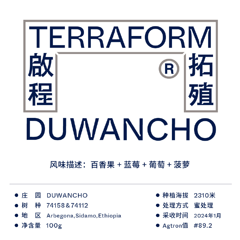 【Terraform】2024TOH蜜处理空运批次 埃塞西达摩74158手冲咖啡豆
