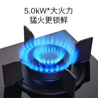 BOSCH 博世 官方天然气燃气灶家用双灶嵌入式家灶具厨房大火力PJD82F31MP