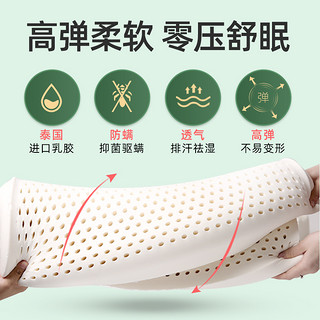 金橡树 儿童乳胶枕 泰国天然乳胶橡胶波浪高低枕幼儿颈椎枕枕芯