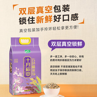 88VIP：SHI YUE DAO TIAN 十月稻田 五色糙米2.5kg东北杂粮糙米饭黑米红米燕麦均衡搭配5斤