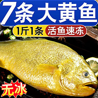 百億補貼：XYXT 蝦有蝦途 新鮮大黃花魚特大深海黃花魚批發一整箱海鮮冷凍黃魚