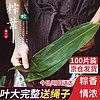 浴米 豫米100片鮮粽子葉真空包裝粽葉大號包粽子葉子粽粑葉棕葉野生 特大鮮粽葉100片（含棉線約60m）