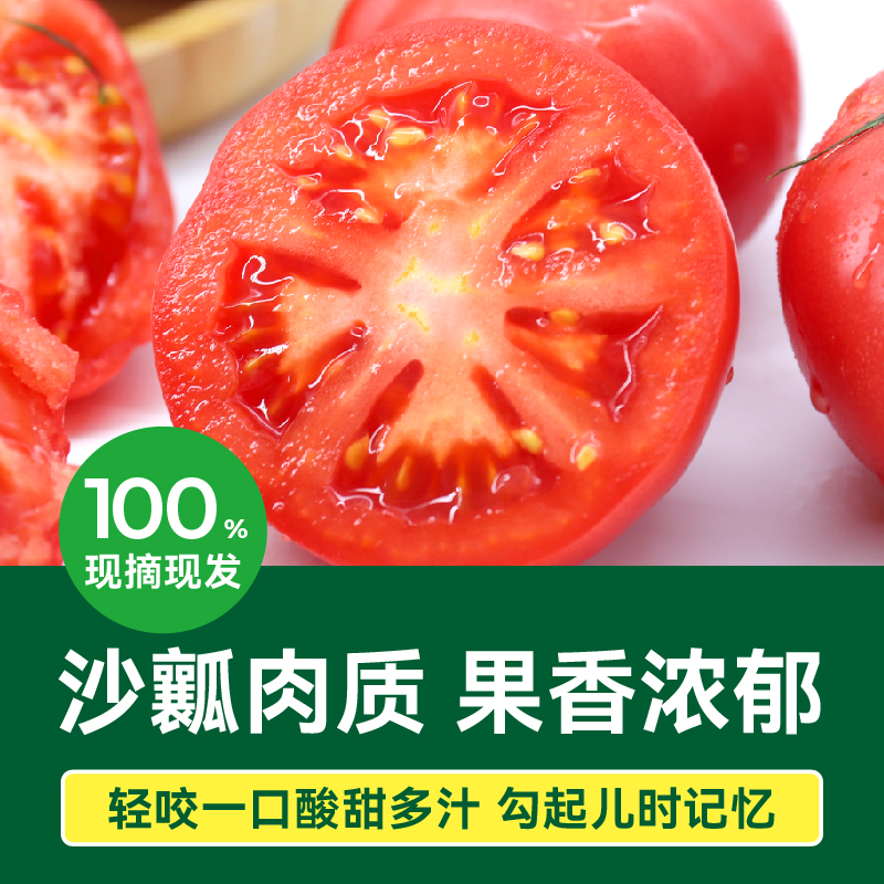 绿行者桃太郎番茄生吃西红柿新鲜自然熟2.5kg新鲜蔬菜非普罗旺斯 桃太郎番茄5斤